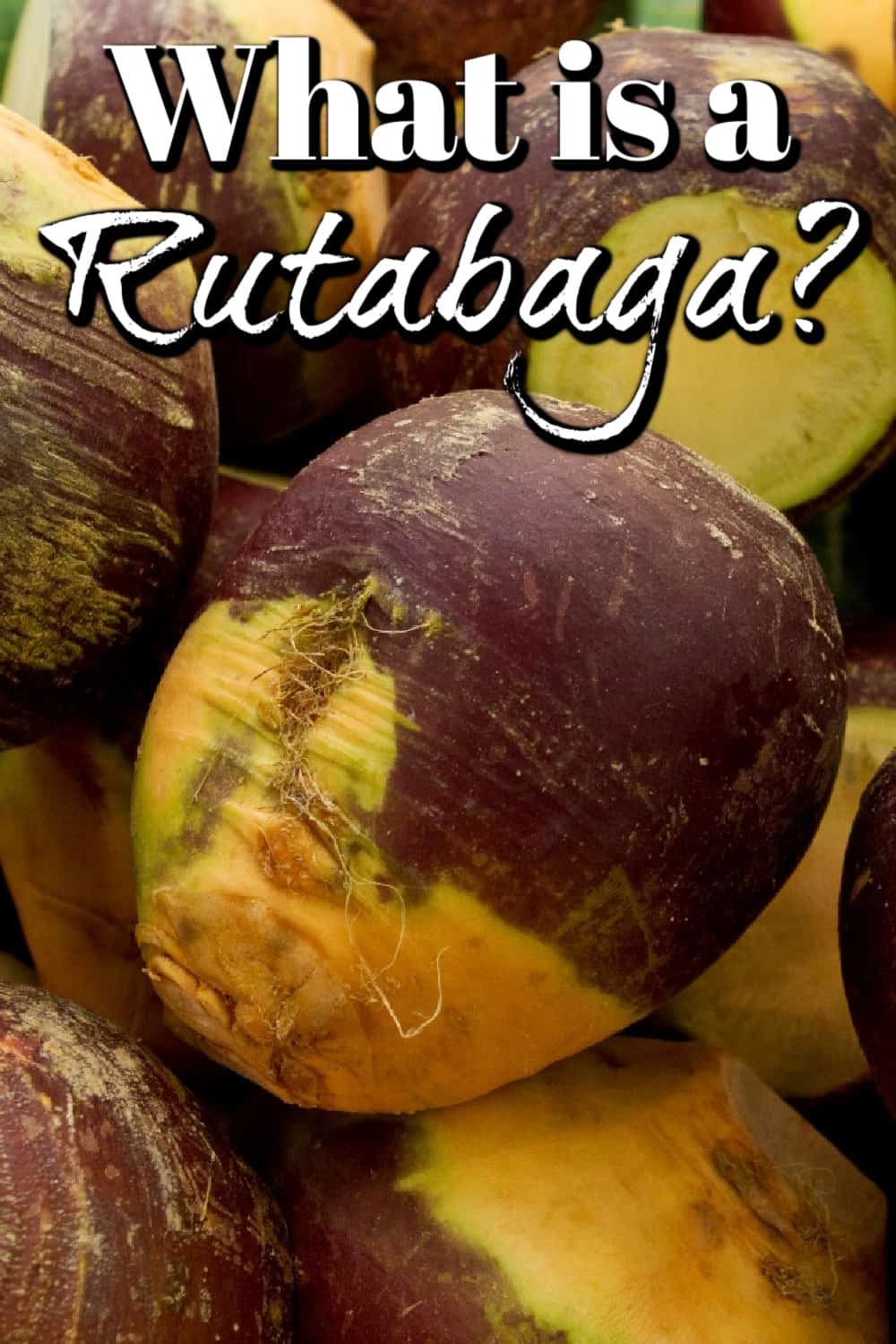 What is a Rutabaga? How do I Cook one? Pin