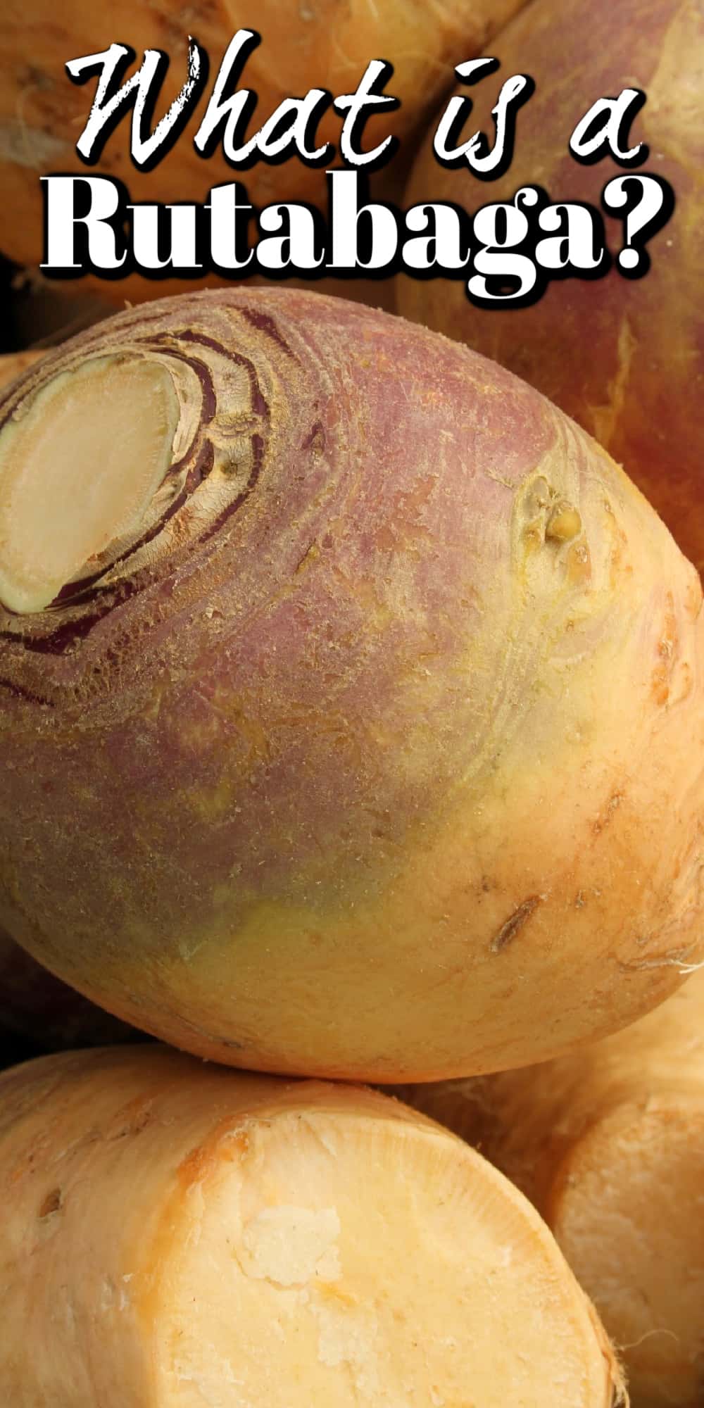 What is a Rutabaga? How do I Cook one? Pin