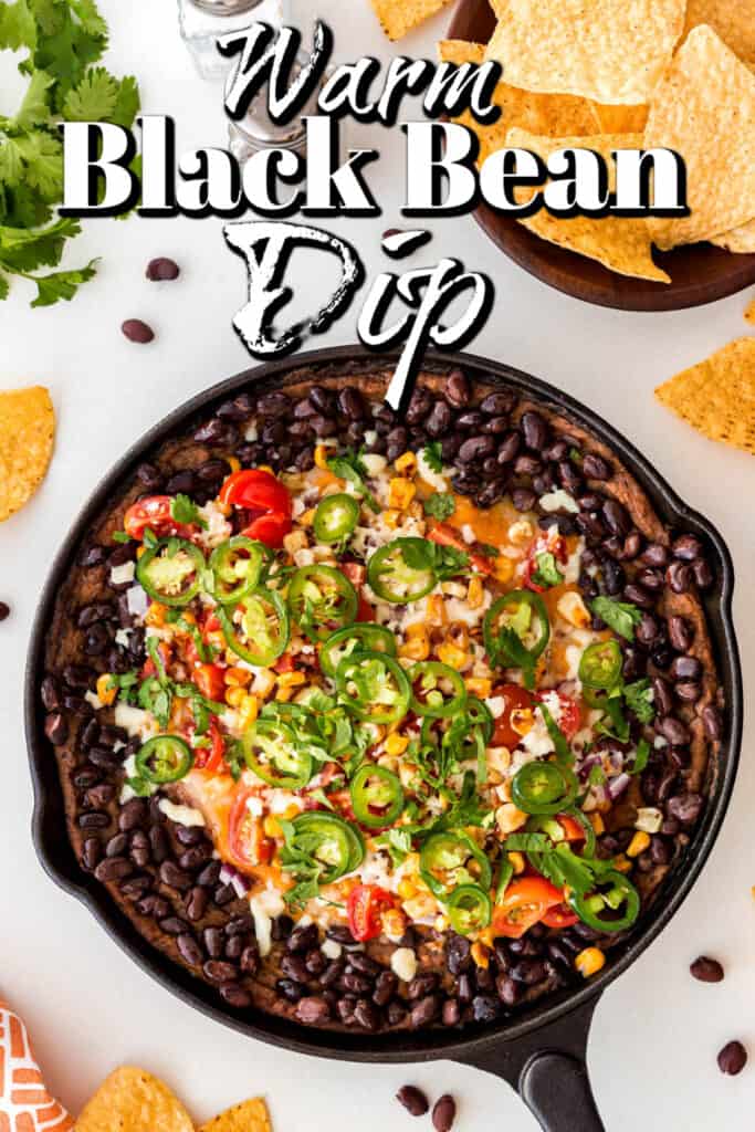 Warm Rustic Black Bean Dip - Noshing With The Nolands