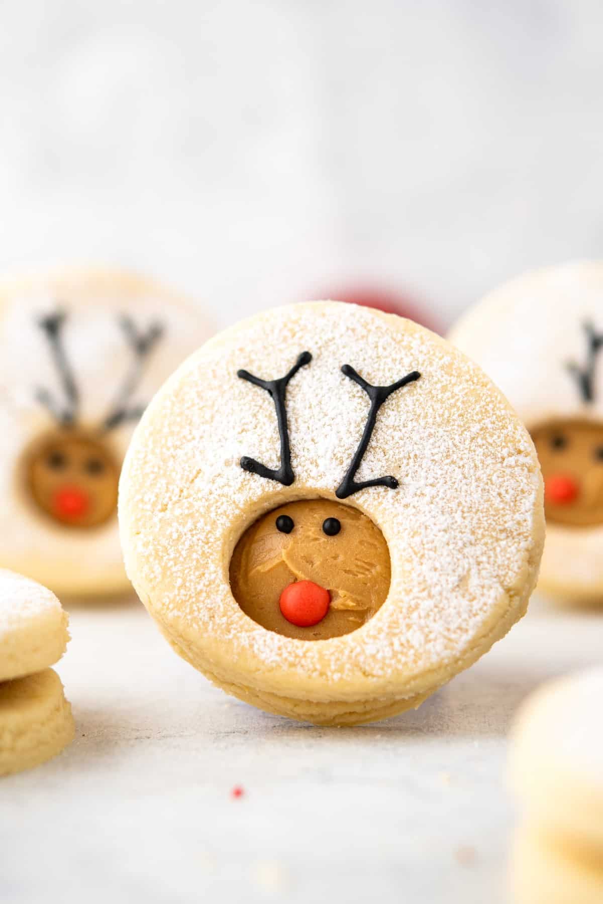 Close-up of a reindeer cookie standing. 