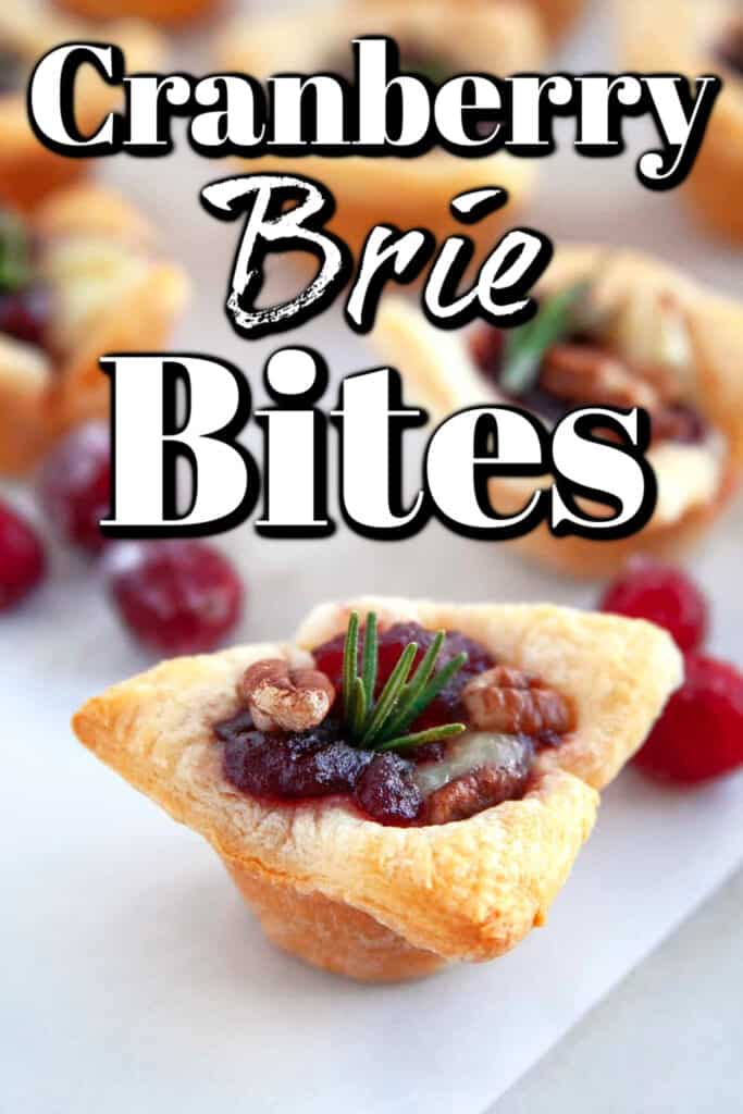 Cranberry Brie Bites - Noshing With The Nolands