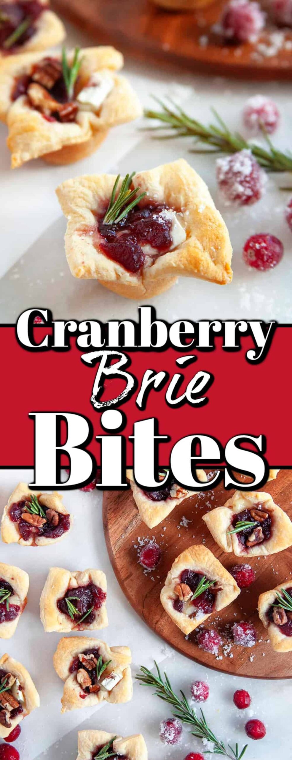 Cranberry Brie Bites - Noshing With The Nolands