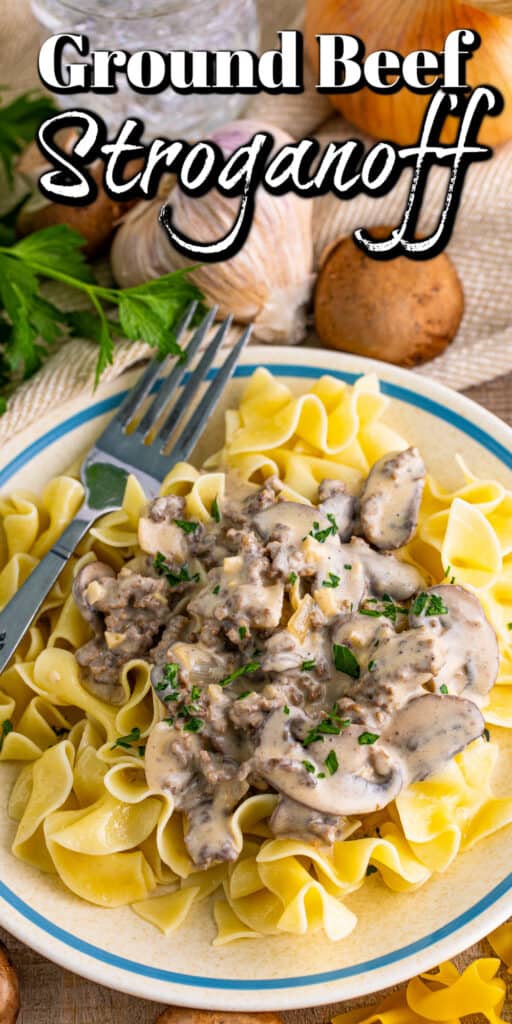 Ground Beef Stroganoff - Noshing With The Nolands