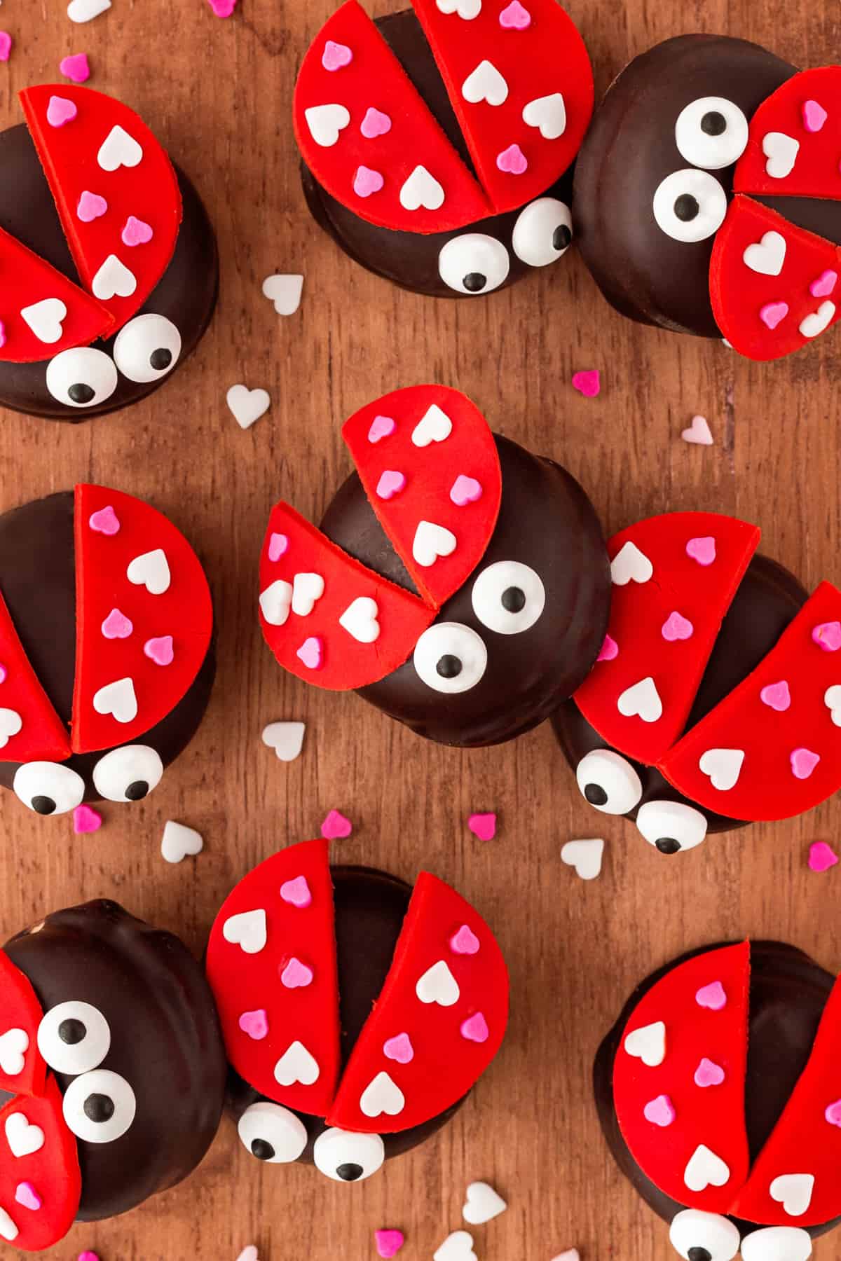 Close up of Love Bugs on a wooden board shot overhead. 