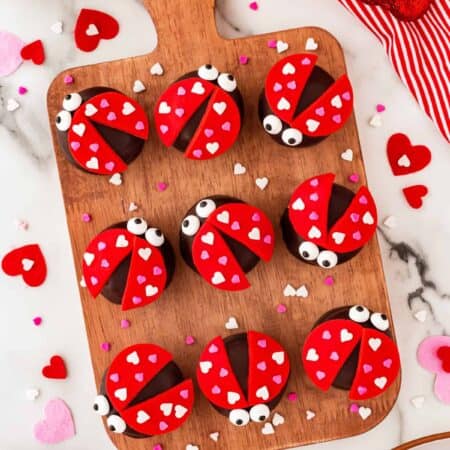 Love bugs on a wooden board with Valentine's Day hearts and large heart confetti around.