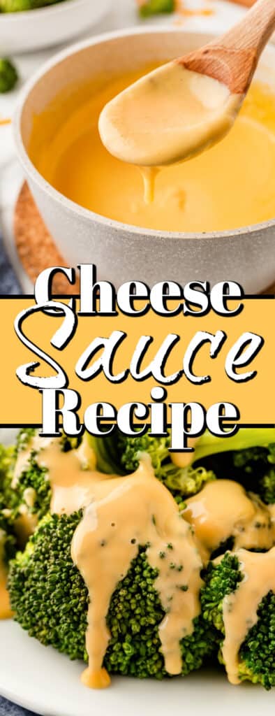 Cheese Sauce Recipe - Noshing With The Nolands