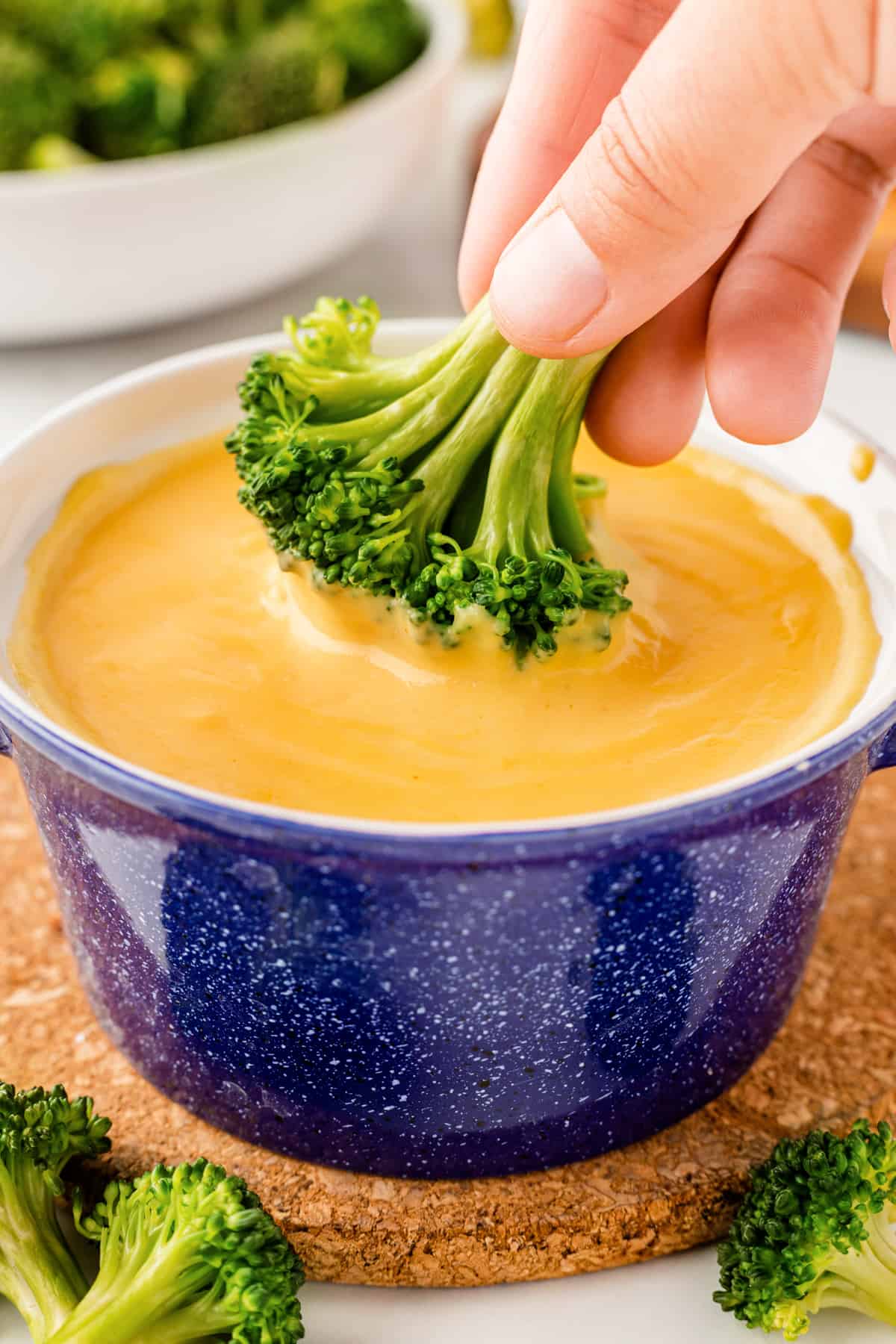 Cheese Sauce Recipe Noshing With The Nolands 8131