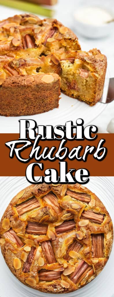 Rustic Rhubarb Cake - Noshing With The Nolands