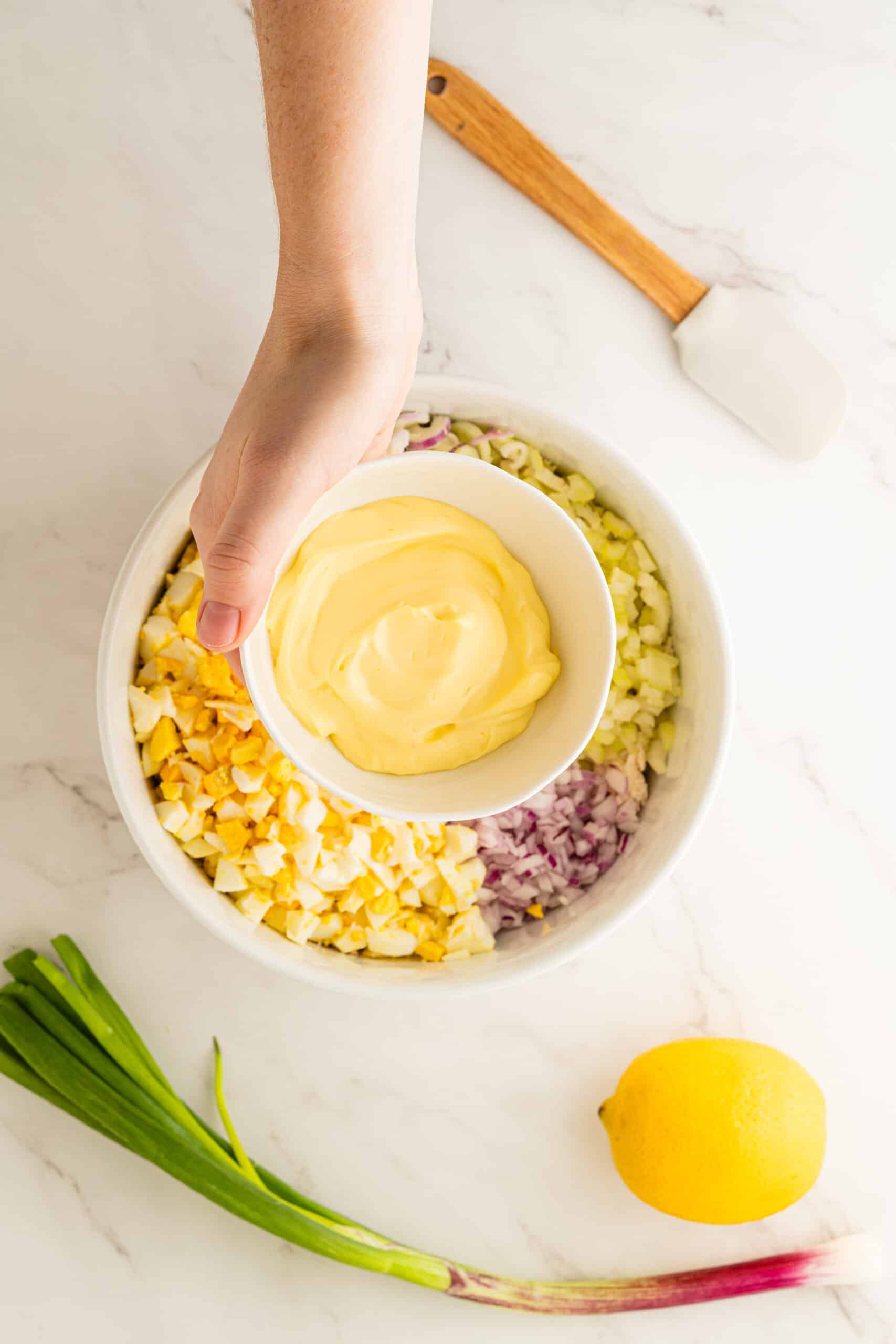 Chicken Salad Recipe with Eggs - Noshing With The Nolands