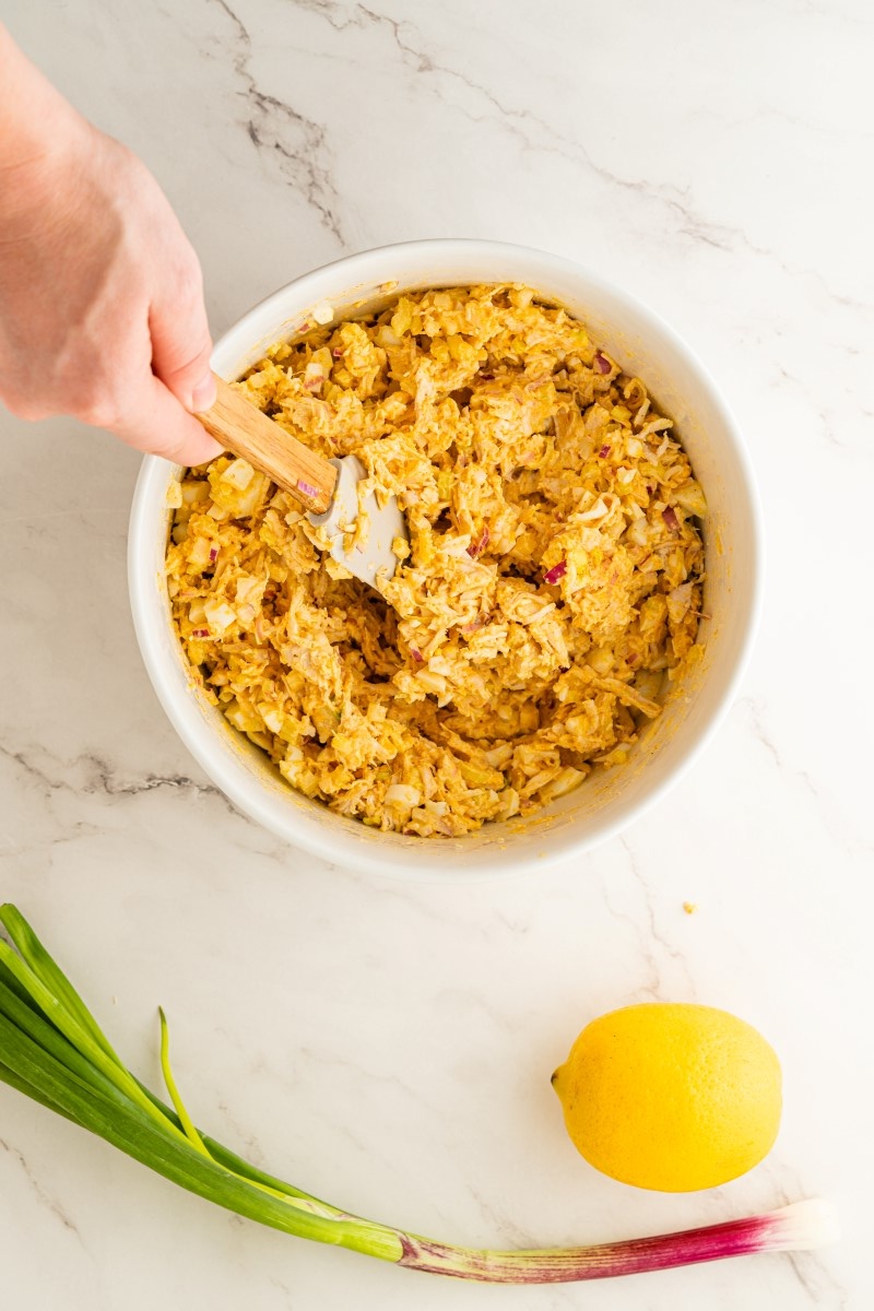 Chicken Salad Recipe with Eggs - Noshing With The Nolands