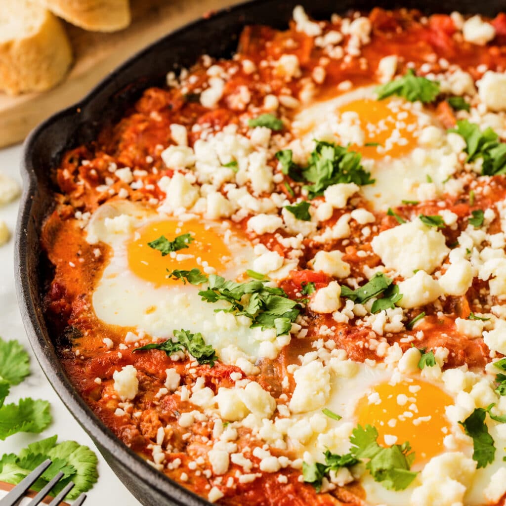 Best Shakshuka Recipe - Noshing With The Nolands