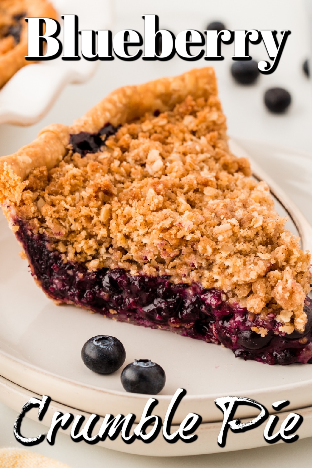Blueberry Crumble Pie Pin. 
