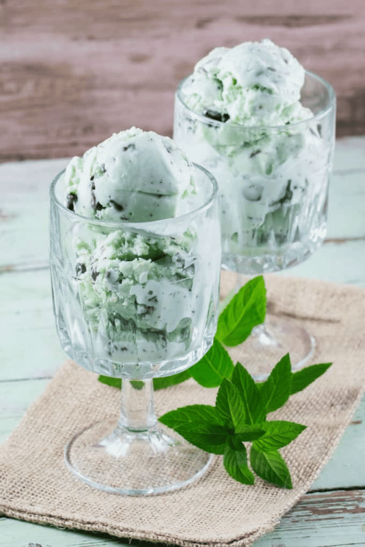 Mint Chocolate Chip Ice Cream in small glass cups. 