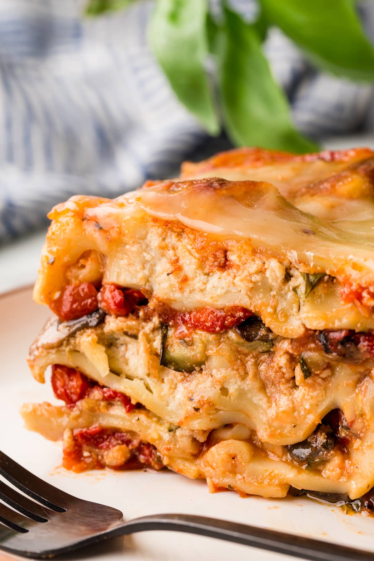 Close-up picture showing the layers of the lasagna. 