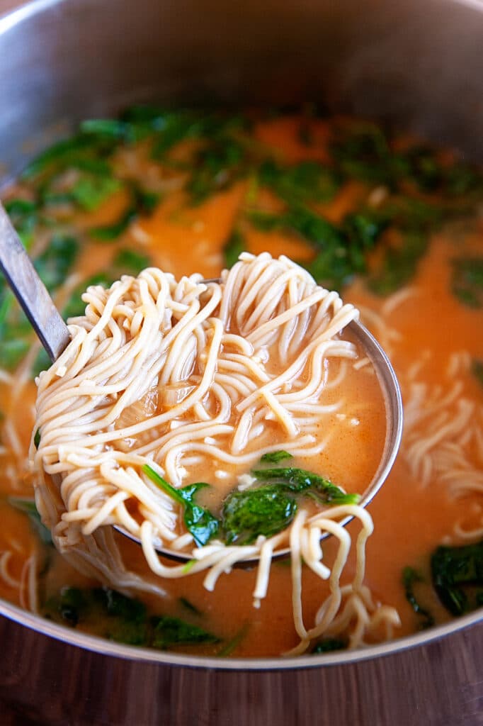 Easy Chicken Ramen - Noshing With the Nolands