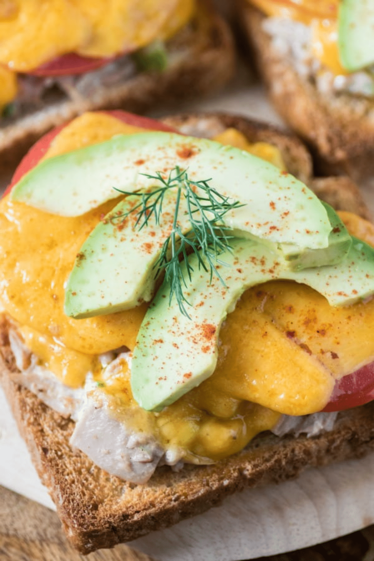 Open-Faced Tuna Melt Sandwich with avocado and a sprinkle of paprika and a dill sprig. 