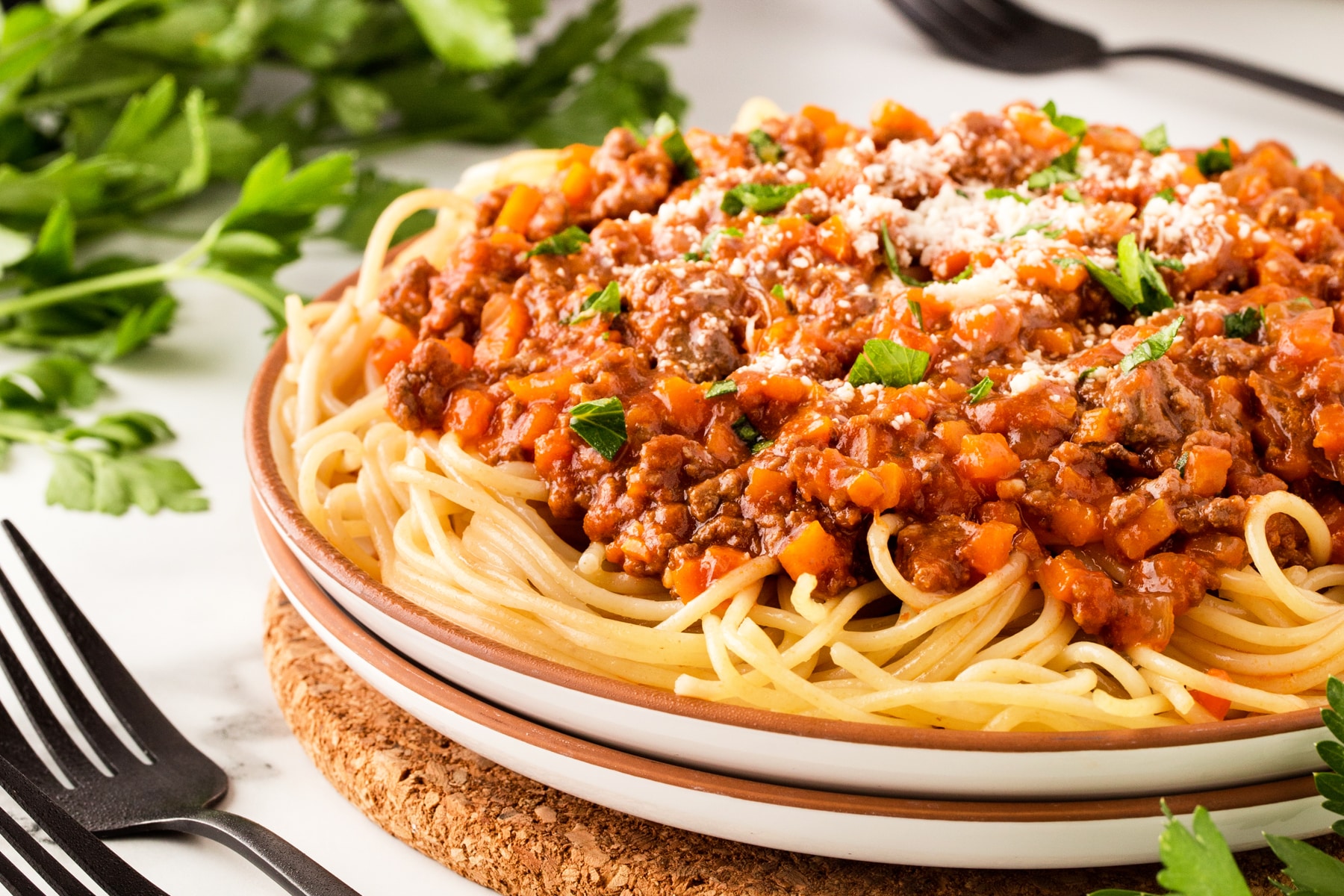 Horizontal front view shot of pasta sauce on spaghetti on a plate. 