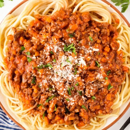 Large plate of spaghetti and sauce taken from overhead.