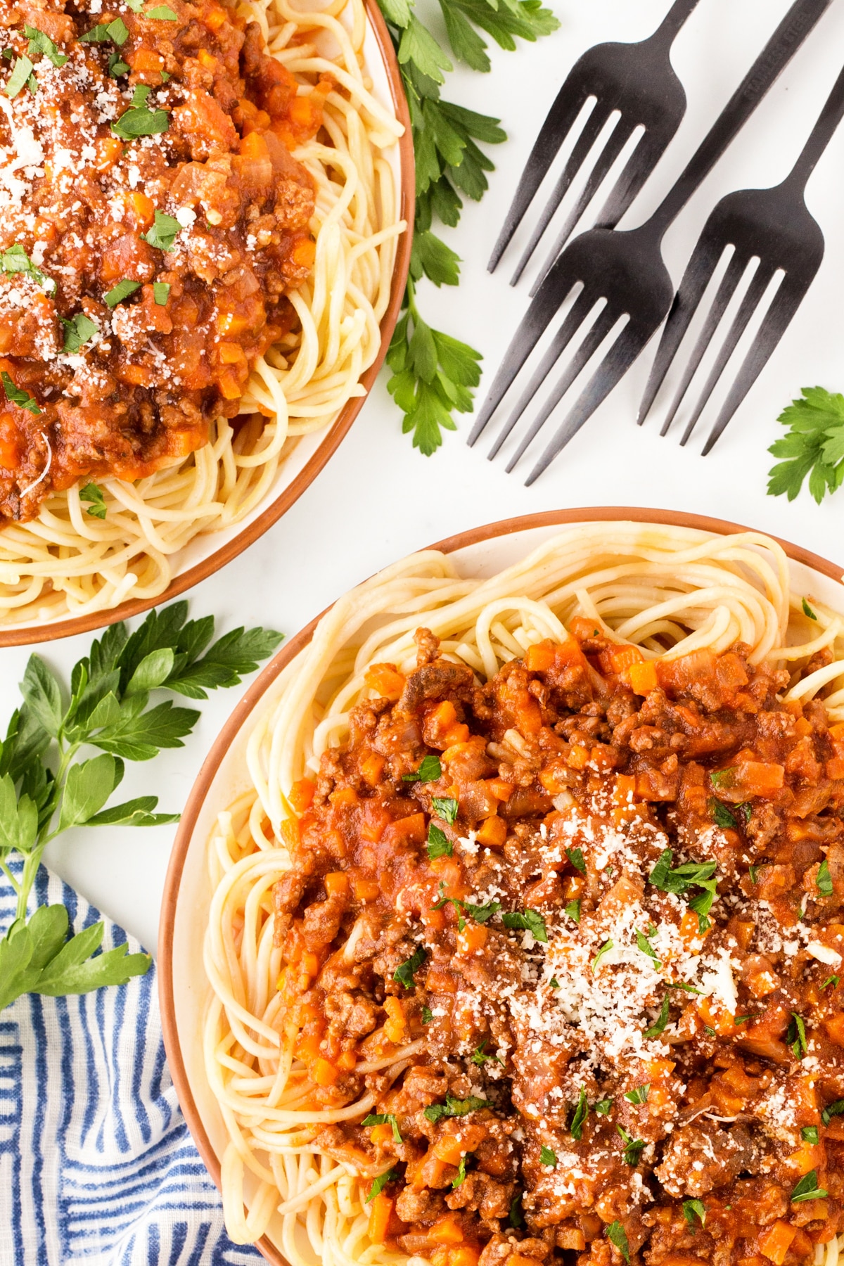 Two plates with black forks in between of spaghetti and pasta sauce. 