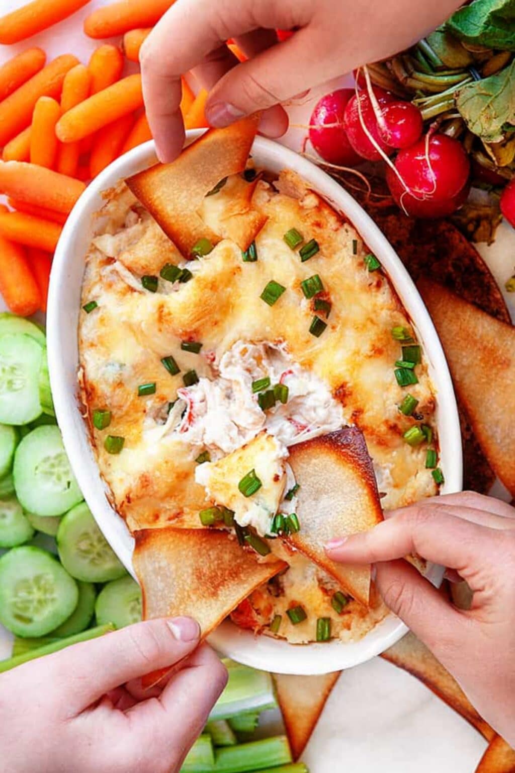 25 Christmas Holiday Appetizers - Noshing With The Nolands