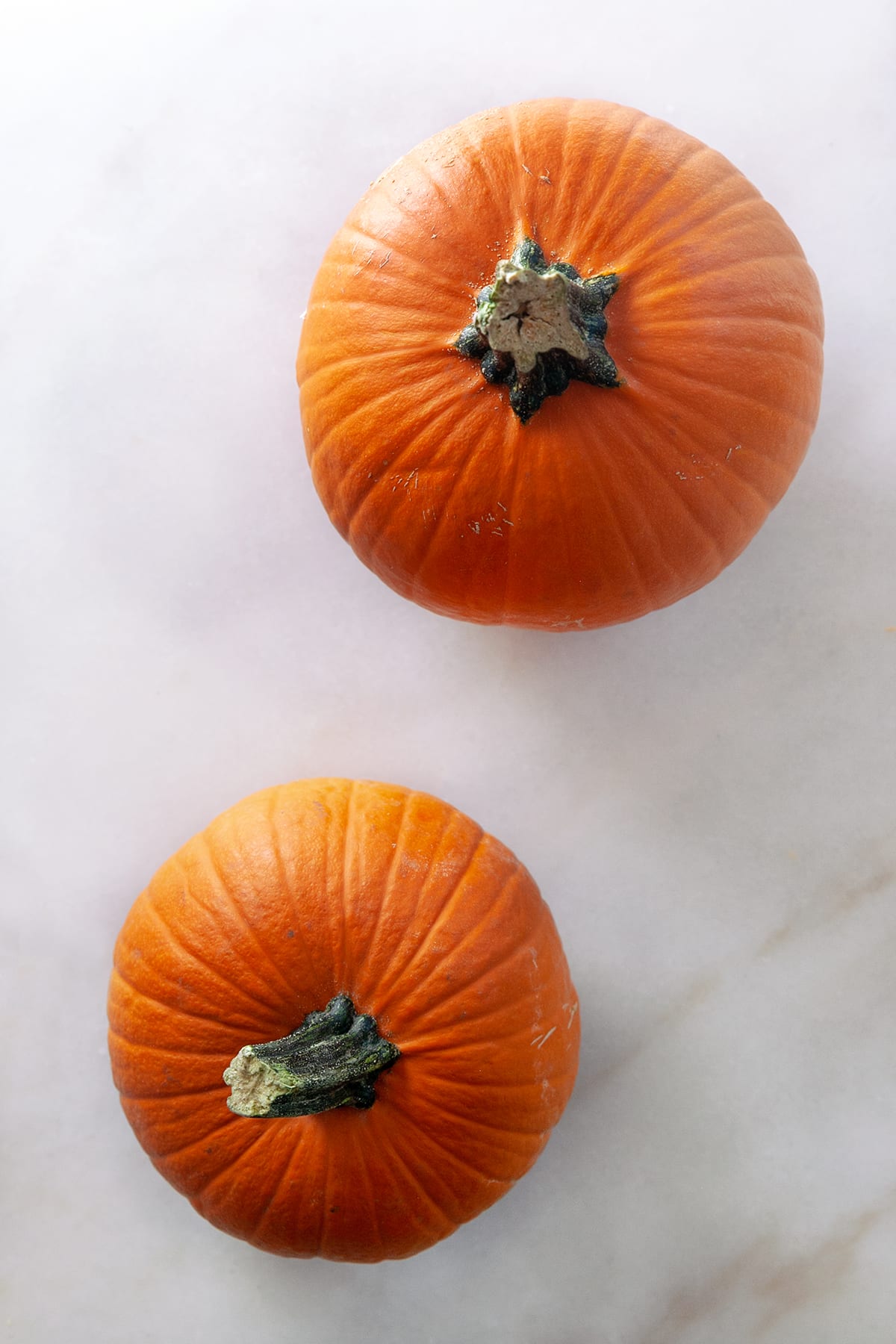 Whole small pumpkins on a white background. 