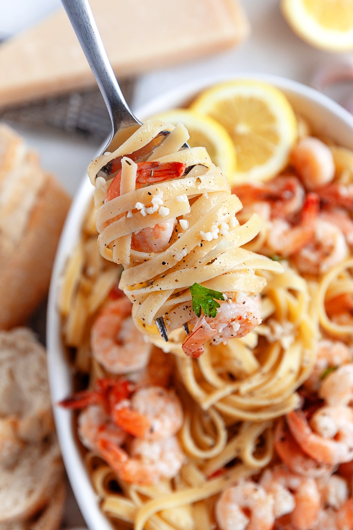 Forkful of pasta and shrimp. 