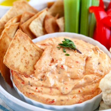Dip platter with one cracker in the dip.