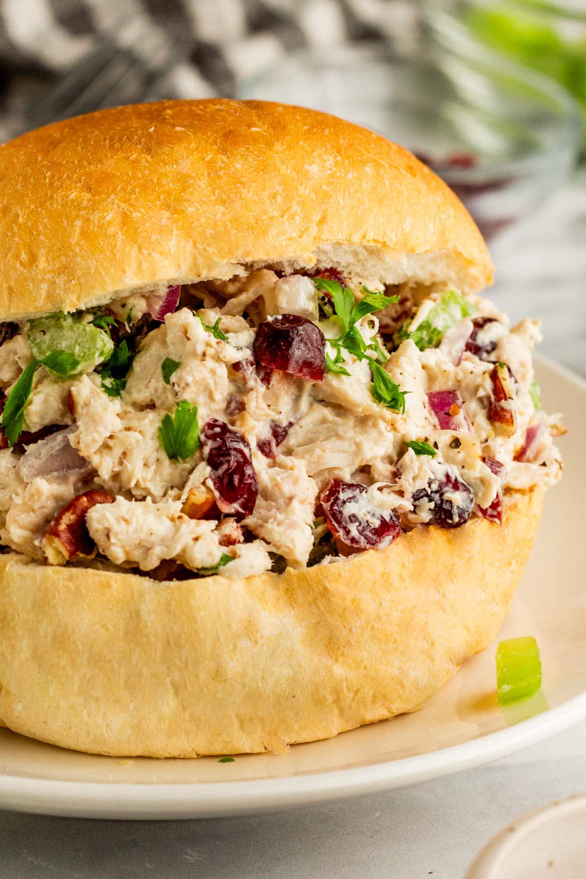 Cranberry Chicken Salad on a bun close-up. 