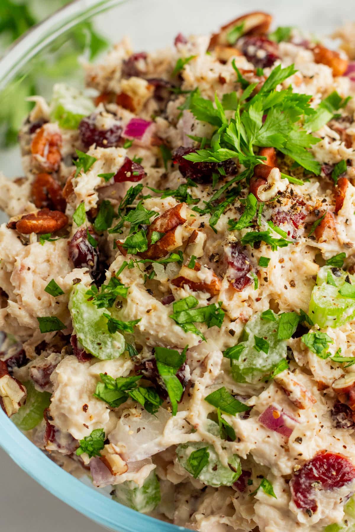 Close-up of chicken salad. 