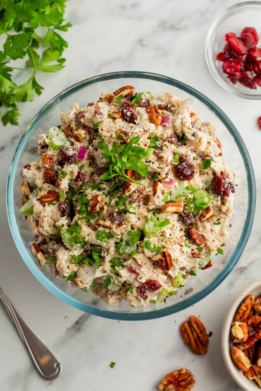 Cranberry Chicken Salad - Noshing With The Nolands