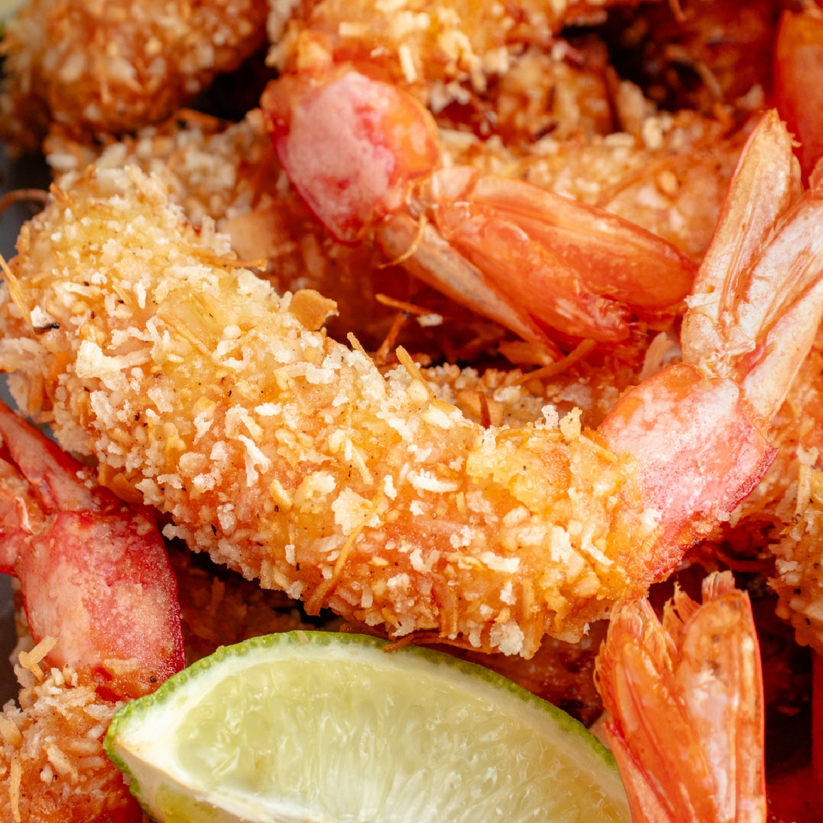 Square photo of coconut shrimp close-up. 