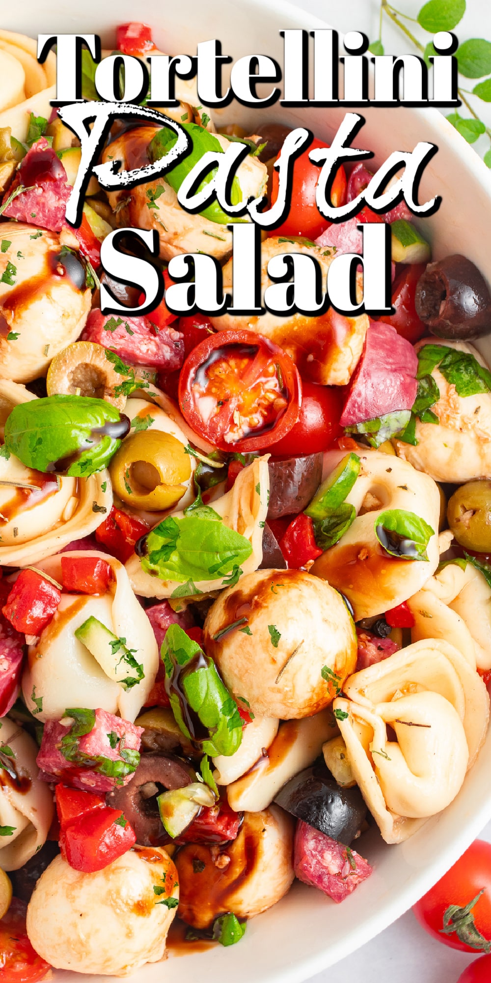 Tortellini Pasta Salad Pin. 