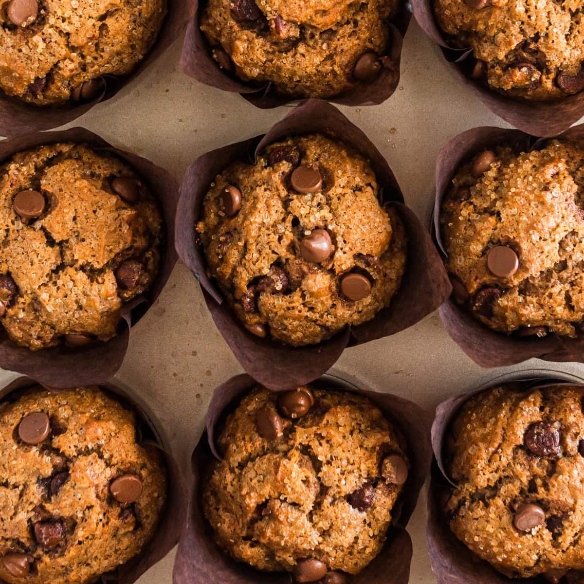 Banana Nut Muffins shot from over head in a square picture. 