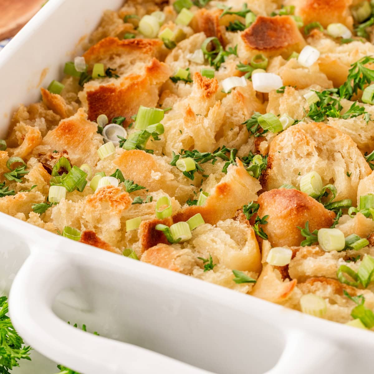 Close-up square image of a casserole.