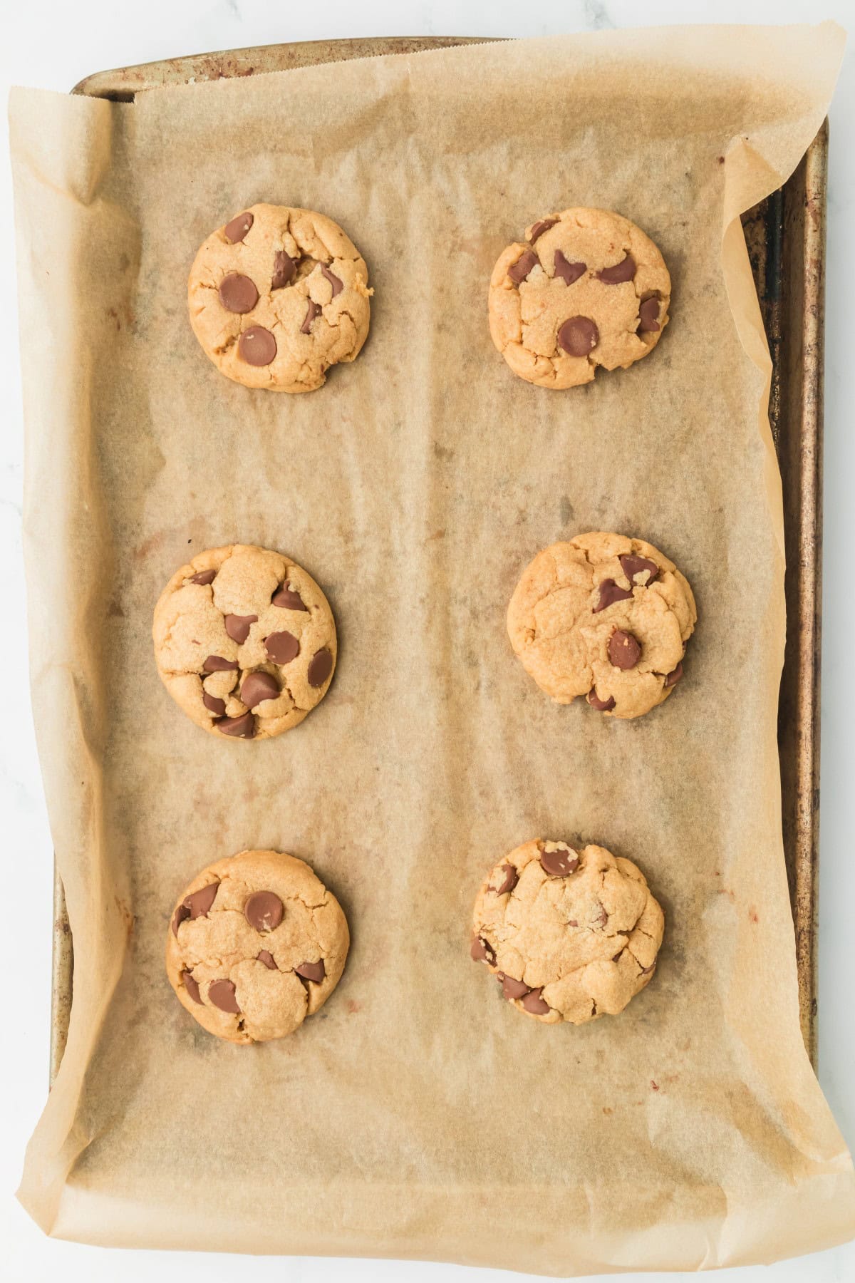 Baked cookies on a baking sheet with parchment. 