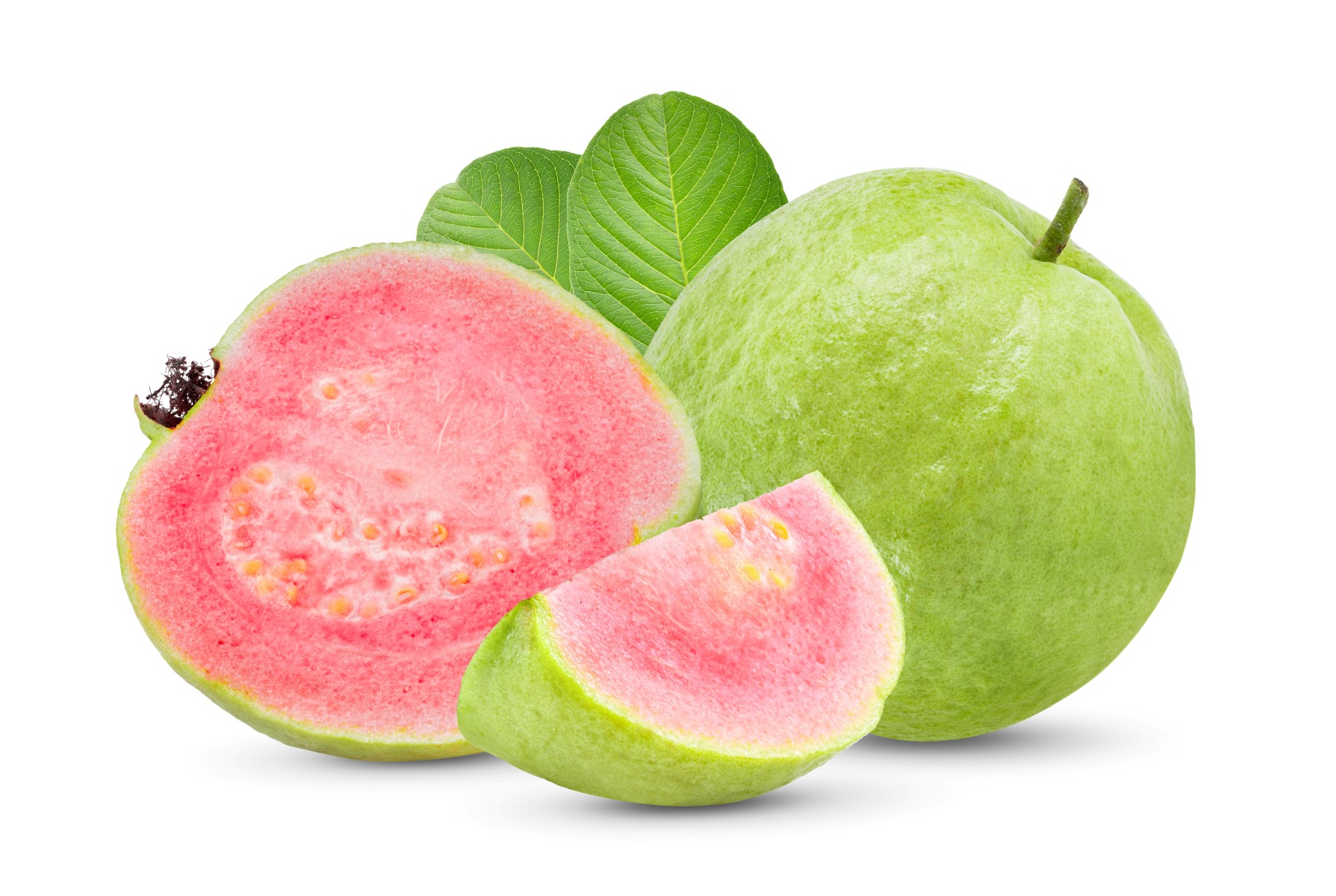 Guava fruit isolated on white background. 