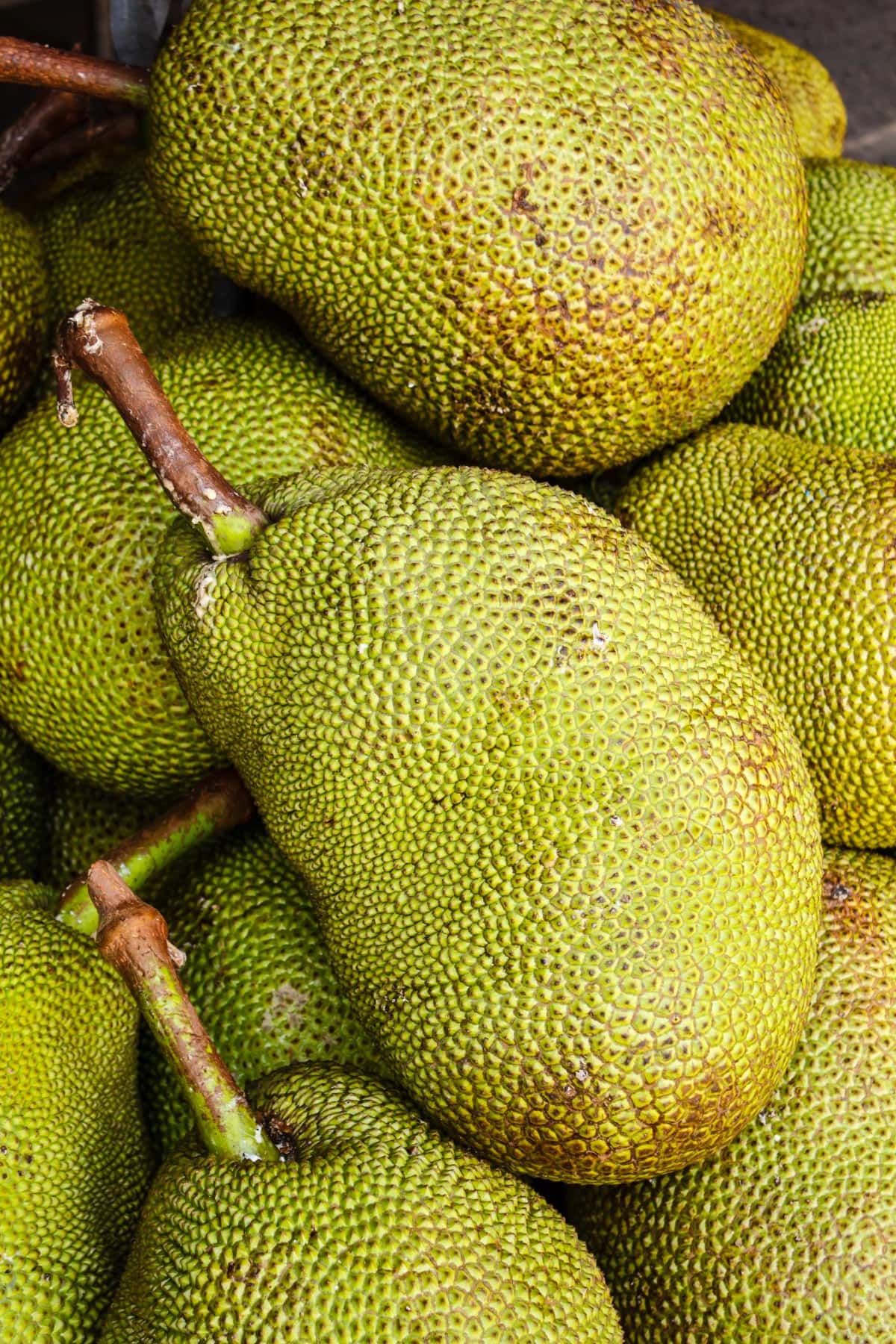 Jackfruit stacked on each other. 