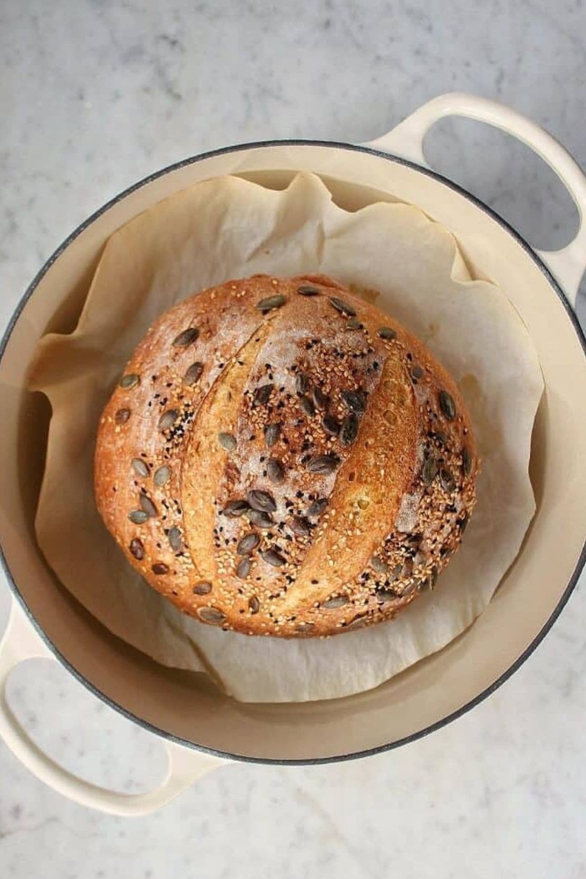 Pumpkin no knead bread in a parchment lined dutch oven.