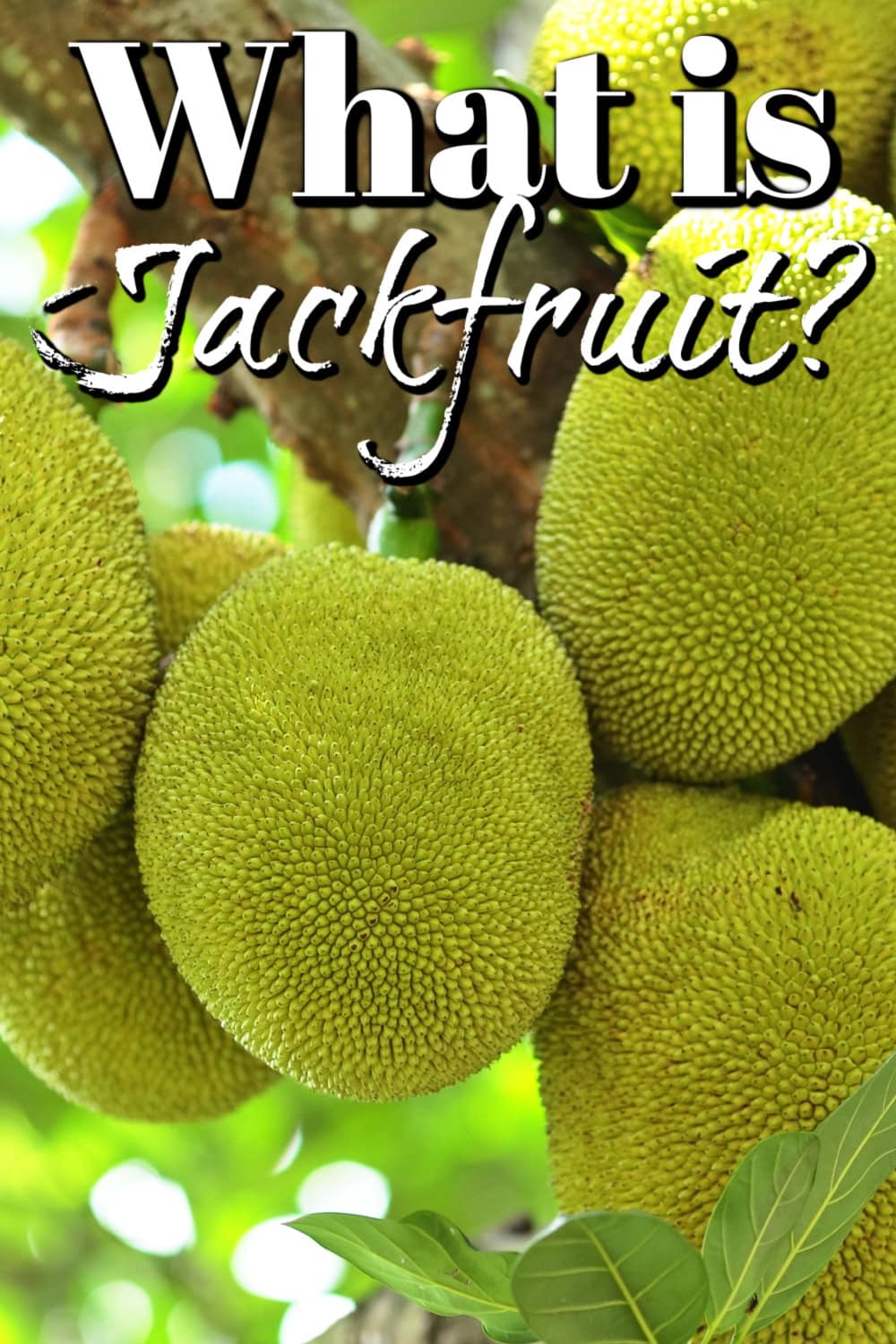 What Is Jackfruit? Pin. 