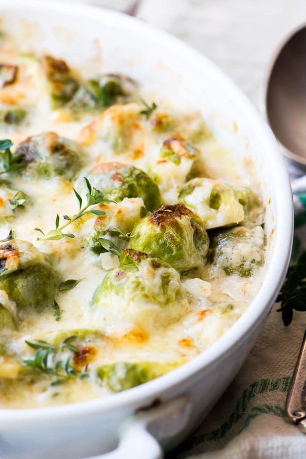 Baked creamed brussels sprouts in a casserole dish ready to serve.