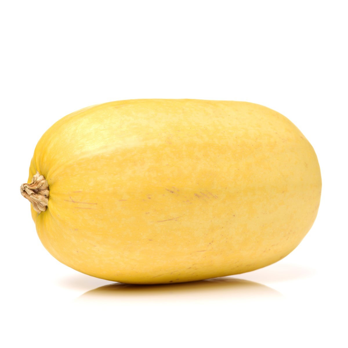 Square photo of one spaghetti squash on a white background. 