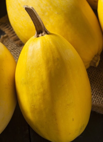 Spaghetti Squash standing against each other.