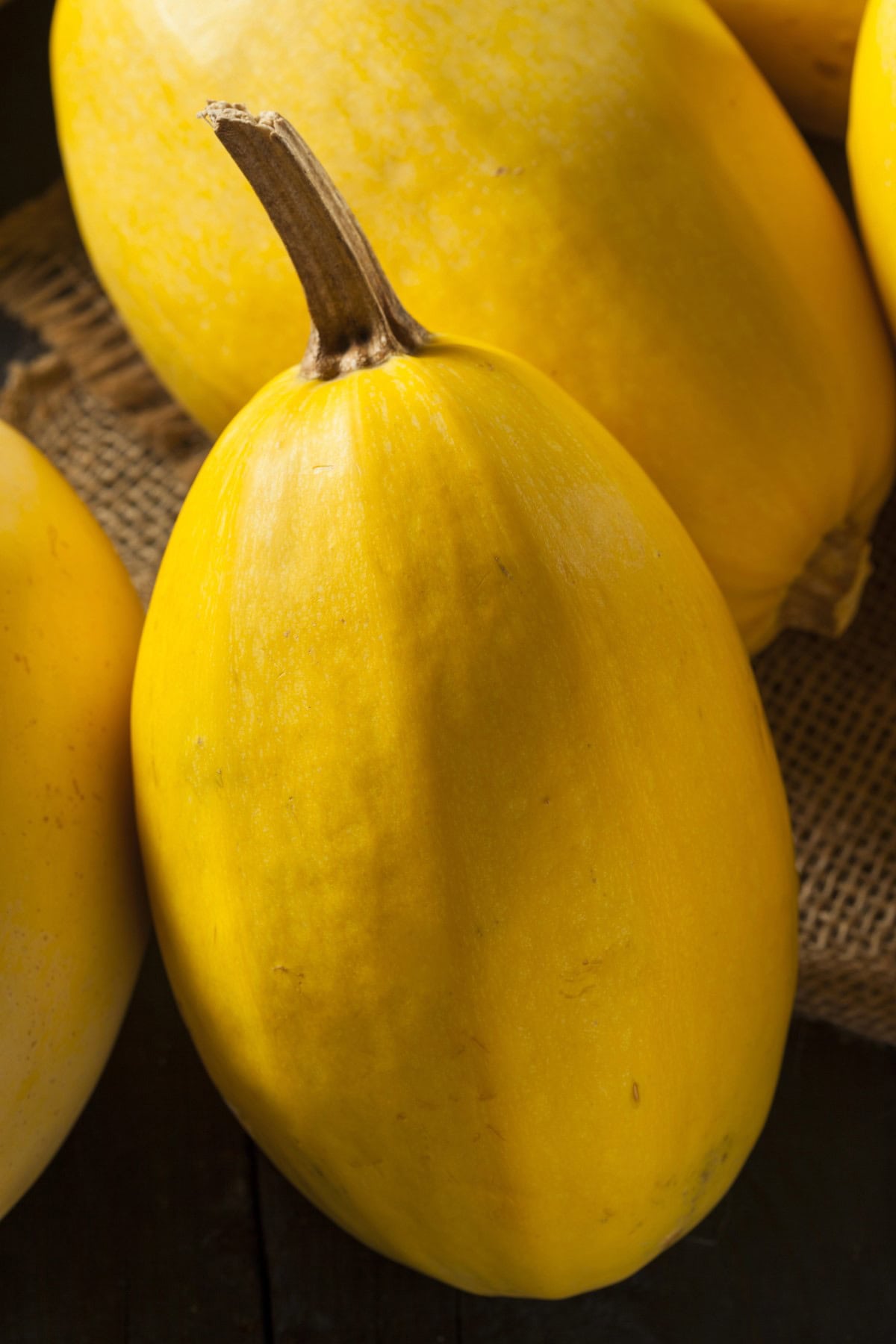 Whole Spaghetti Squash standing up. 