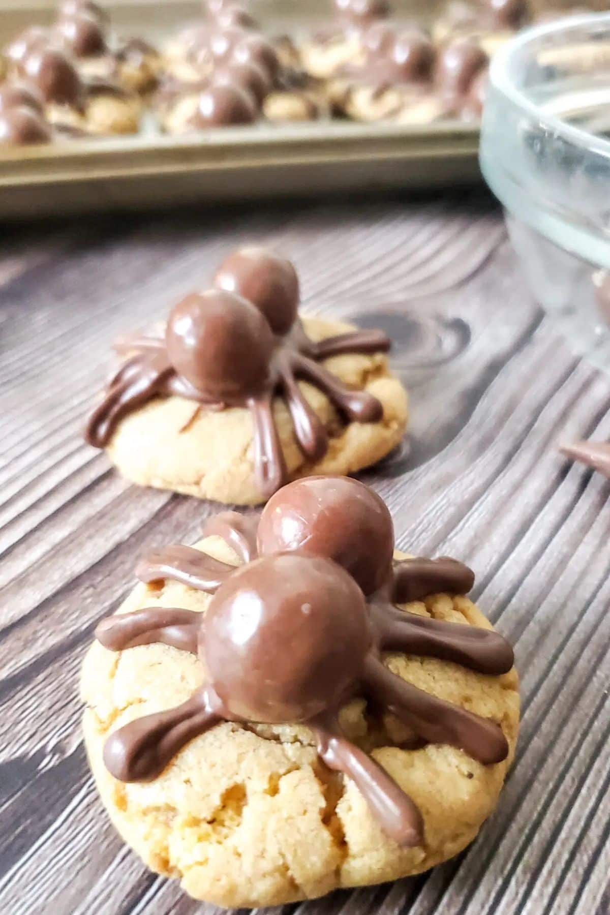 Two spider cookies on a wooden background.