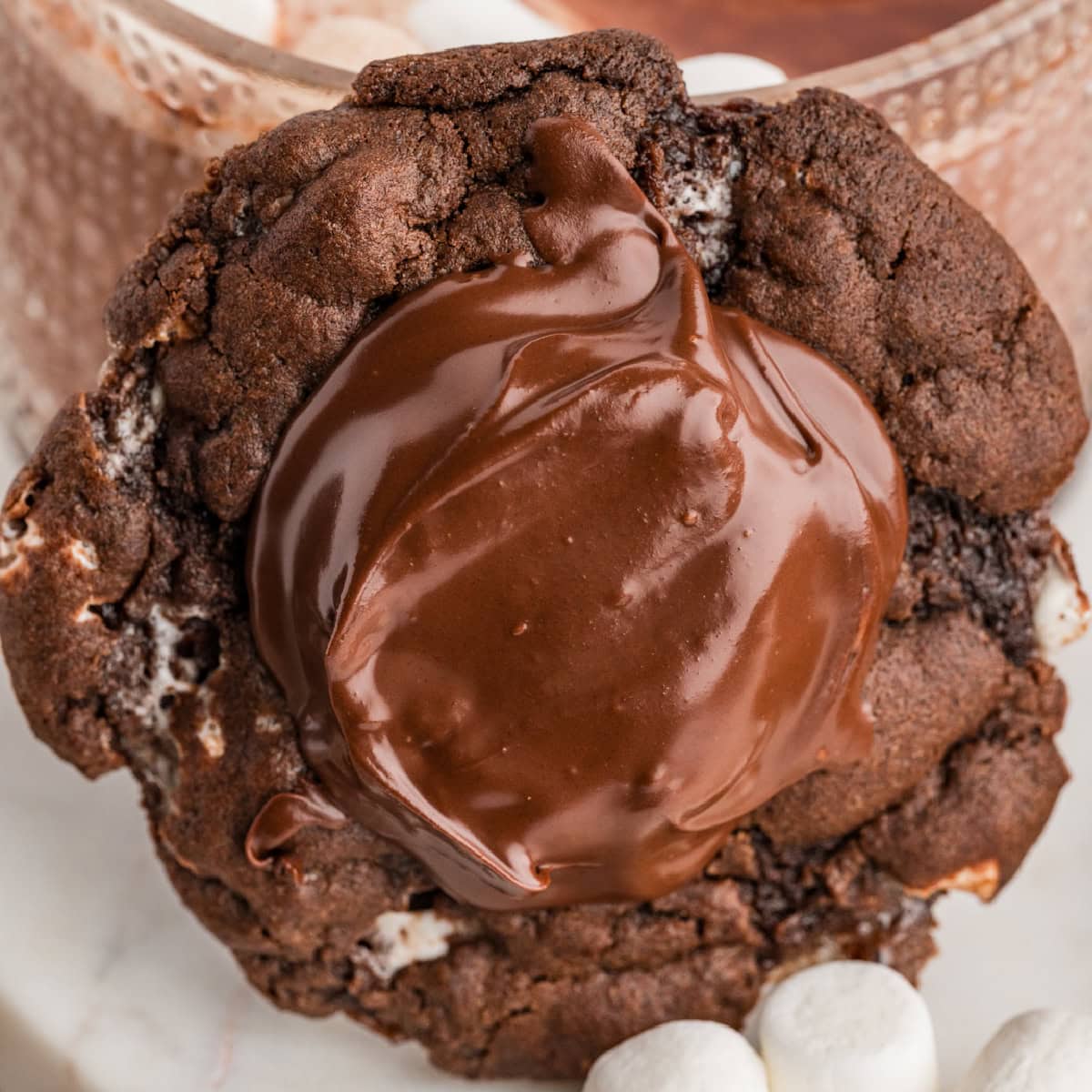 Close-up of a cookie. 