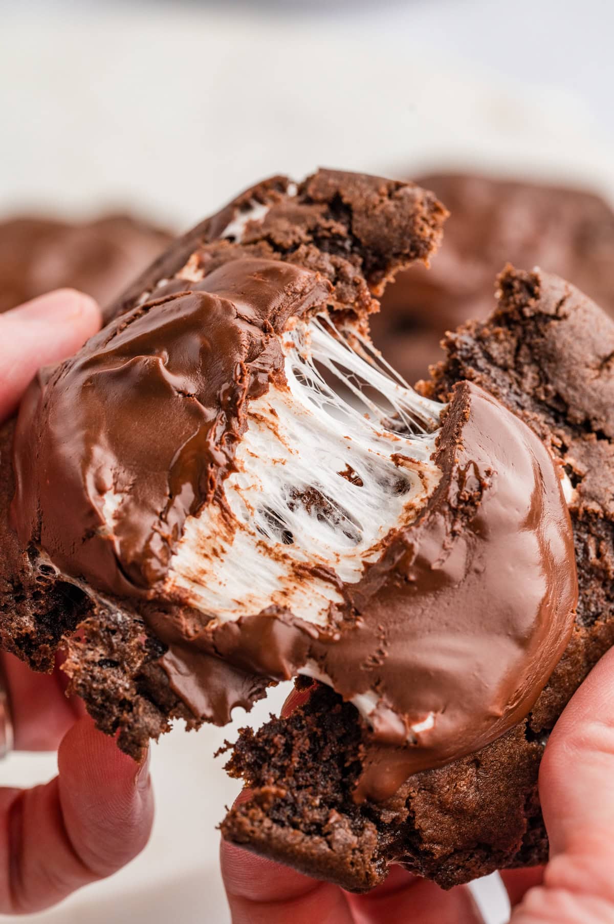 Pulling a Hot Chocolate Cookie apart. 