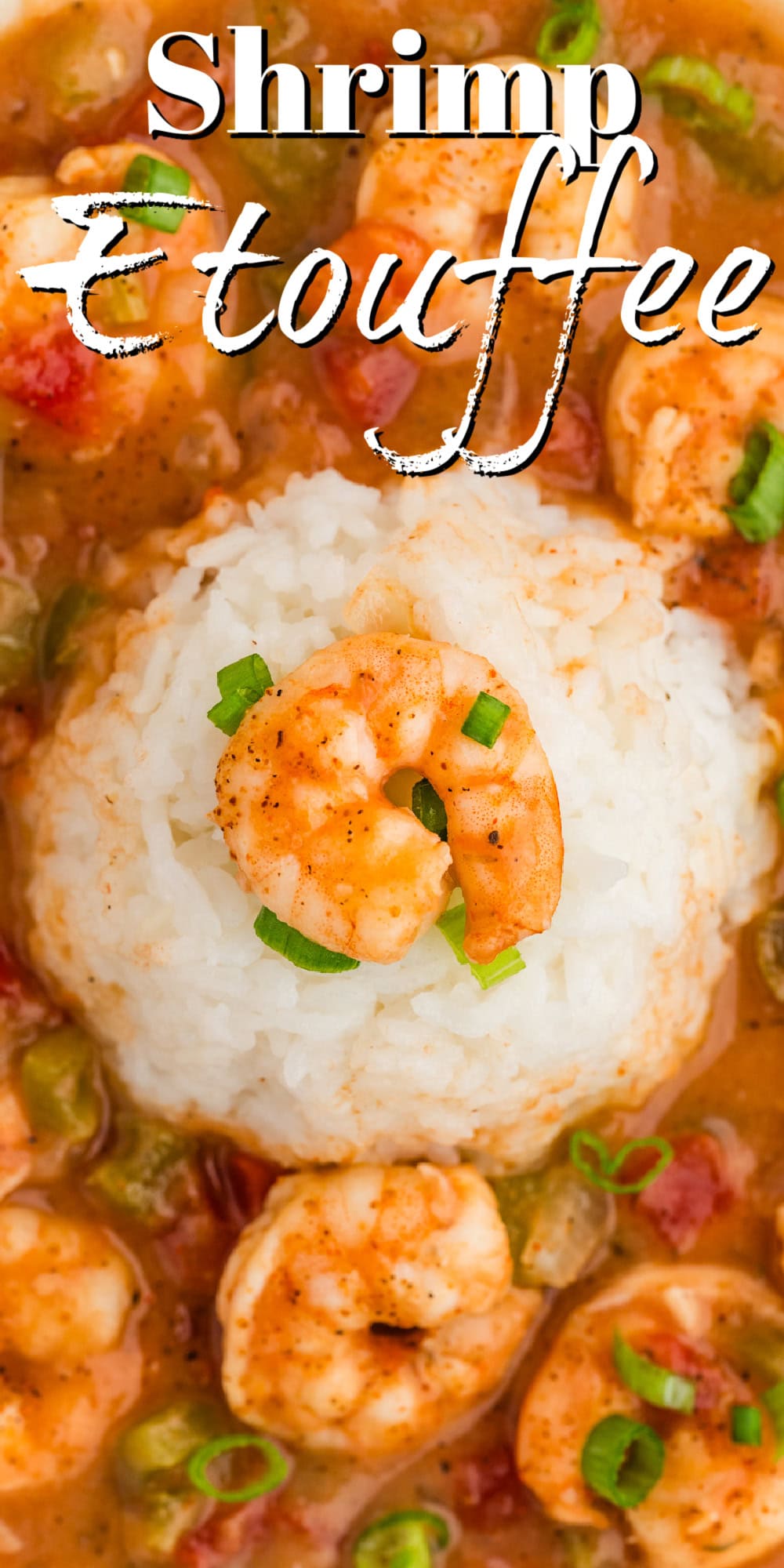 Shrimp Etouffee Pin. 