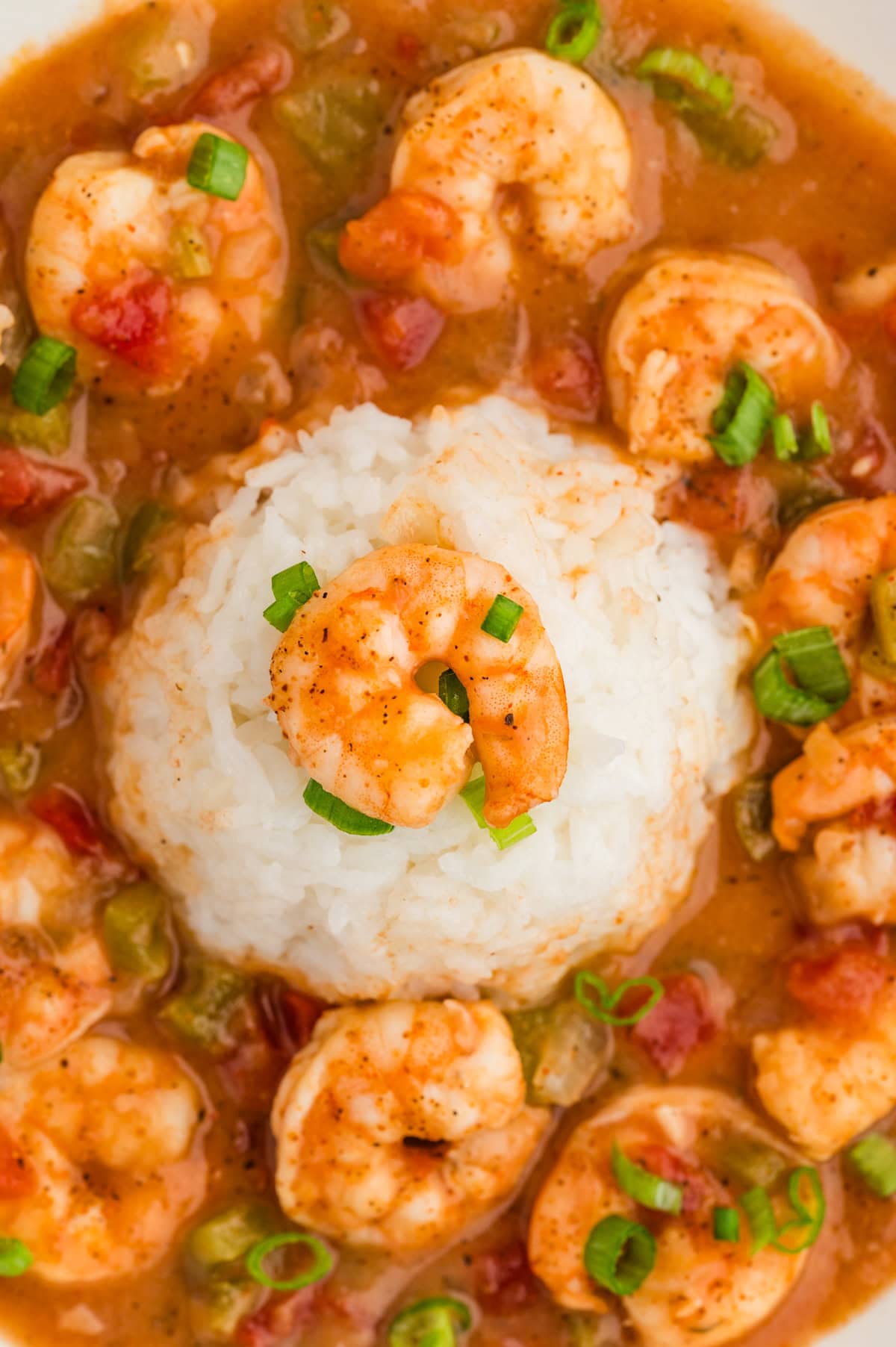 Overhead of Shrimp Etouffee. 