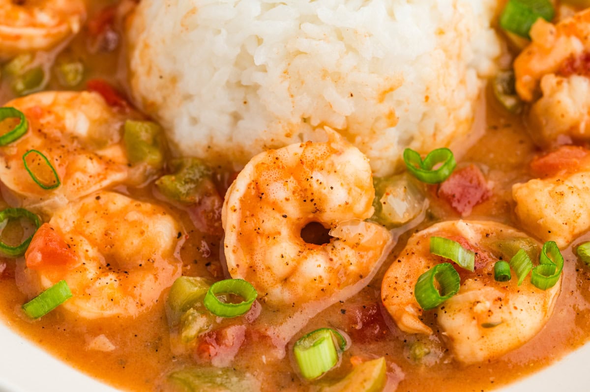 Close-up of shrimp.