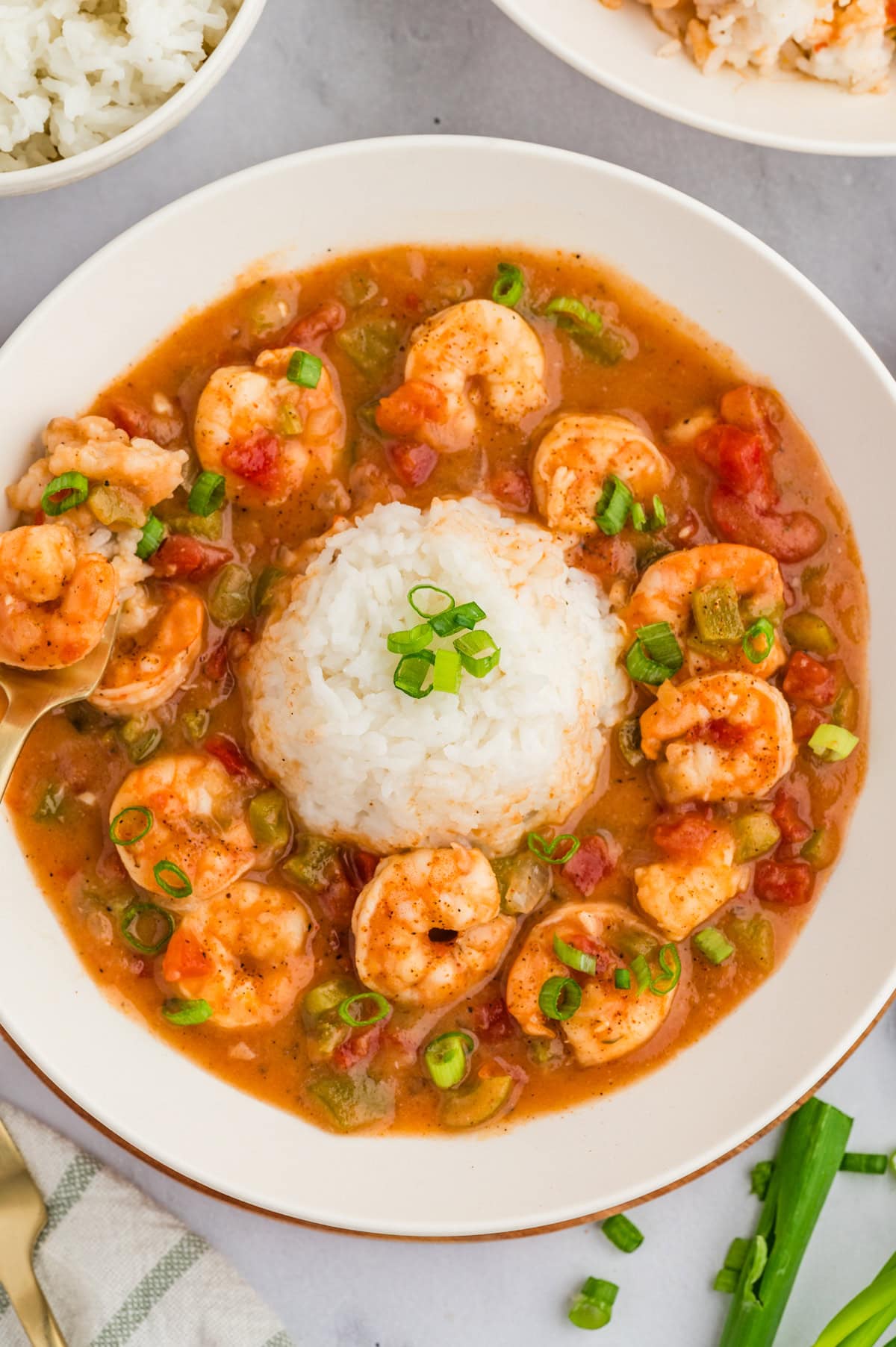 Close-up of Etouffee. 